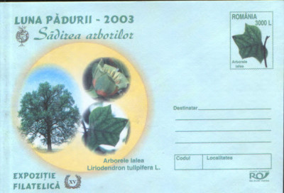 Intreg pos plic nec 2003 - Luna Padurii - Sadirea arborilor - Arborele lalea foto