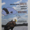 Educatie pentru gaste predata la scoala de vulturi Calin Donca