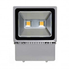 Proiector cu LED 100W, ECO LED, carcasa metalica, gri foto