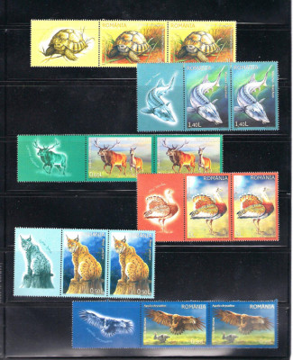 ROMANIA 2009 - FAUNA PROTEJATA DIN ROMANIA, STRAIF, MNH - LP 1841 foto