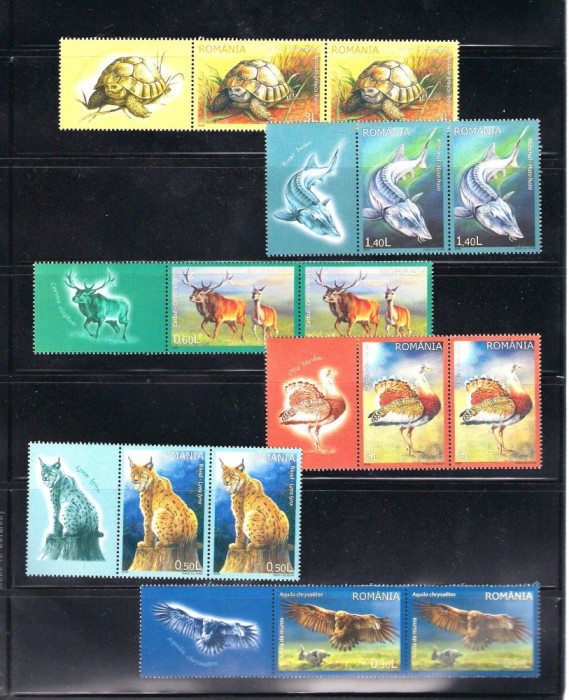 ROMANIA 2009 - FAUNA PROTEJATA DIN ROMANIA, STRAIF, MNH - LP 1841