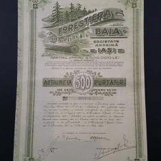 Actiune 1922 Iasi / Baia / titlu soc. forestiera / actiuni