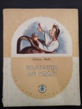 Viorica Huber - Ulcicuta cu Vraji
