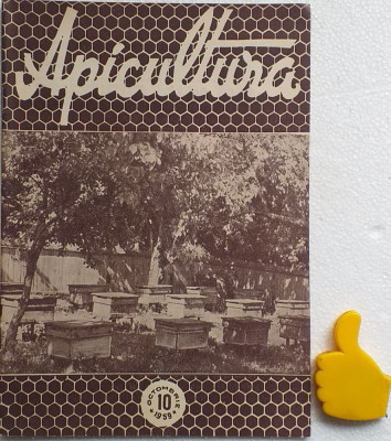Revista Apicultura 10/1959 foto