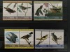 PC454 - Niutao Tuvalu 1985 Fauna/ Pasari Audubon , serie MNH, 8v, Nestampilat