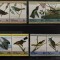 PC454 - Niutao Tuvalu 1985 Fauna/ Pasari Audubon , serie MNH, 8v