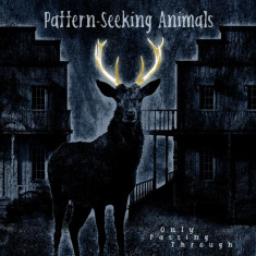 PatternSeeking Animals Only Passing Through Gatefold Black LP (2vinyl)