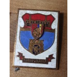 Insigne (5) Steme Sighisoara