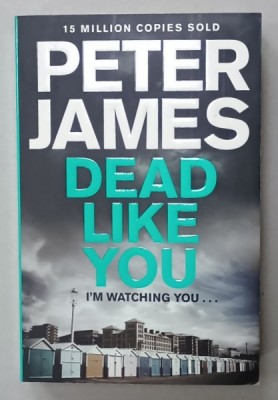 DEAD LIKE YOU by PETER JAMES , 2014 foto