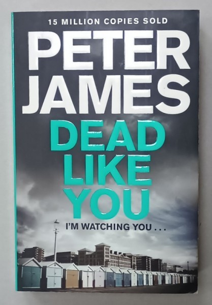 DEAD LIKE YOU by PETER JAMES , 2014