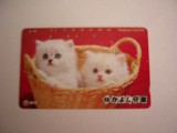 B11 67 - Carduri si cartele telefonice - Japonia - Pisici - piesa de colectie