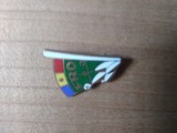 Insigna Federatii Sportive FRO