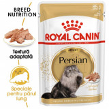 Cumpara ieftin Royal Canin Persian Adult hrana umeda pisica (pate), 85 g