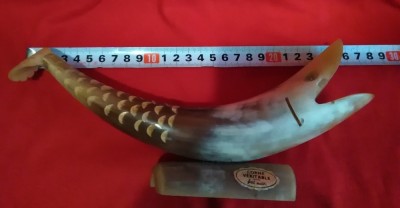 Peste rapitor, arta africana din corn veritabil foto