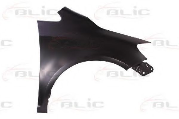 Aripa fata VW GOLF PLUS (5M1, 521) (2005 - 2013) BLIC 6504-04-9533312P