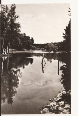 Carte Postala veche - Sibiu, Vedere din Dumbrava, Circulata 1968 foto