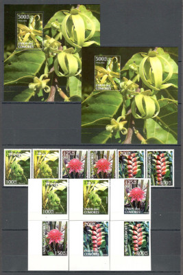 Comore.2011 Flori de plante DF.295 foto