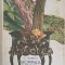 SCRINUL NEGRU-GEORGE CALINESCU-177110