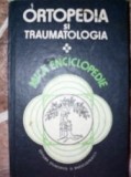 Ortopedia si traumatologia.Mica enciclopedie