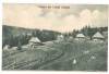SV * Vedere (parțială) din CRINTII SALISTEI * 1929 * COPII JUCANDU-SE, Circulata, Fotografie, Printata, Saliste