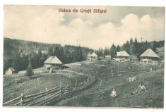 SV * Vedere (parțială) din CRINTII SALISTEI * 1929 * COPII JUCANDU-SE
