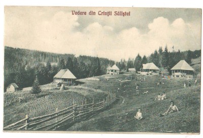 SV * Vedere (parțială) din CRINTII SALISTEI * 1929 * COPII JUCANDU-SE foto