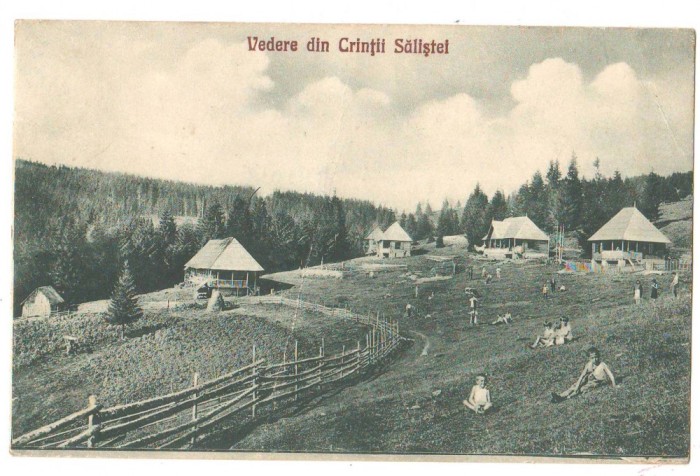 SV * Vedere (parțială) din CRINTII SALISTEI * 1929 * COPII JUCANDU-SE