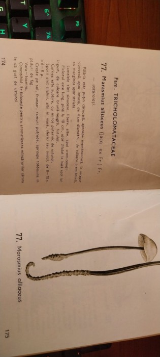 Mic Atlas Ciuperci 1977 Dr.Dc.Eugenia Eliade și Dr.Mihai Toma