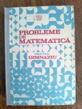 Probleme de matematica - I. Petrica, 1985 / R3P1S