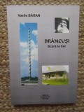 Vasile Baran - Brancusi Scara la cer