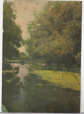 bnk cp In Delta Dunarii - Vedere - necirculata foto