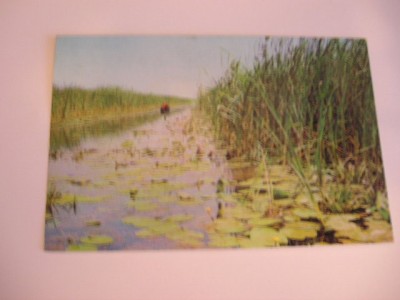 QW24 D - Carte postala - tematica turism - vedere - Delta Dunarii 12 foto