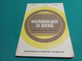 MICROBIOLOGIE ȘI IGIENĂ * MANUAL PENTRU CLASA A X-A LICEE SANITARE / D. PANAITESCU / 1984 * 4 4 4/5