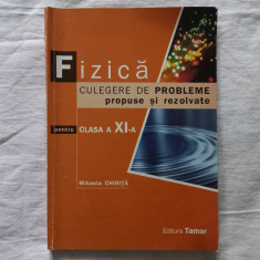 MIHAELA CHIRITA- FIZICA. CULEGERE DE PROBLEME PROPUSE SI REZOLVATE CLASA A XI-A