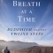 One Breath at a Time: Buddhism and the Twelve Steps
