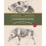 Anat&oacute;miai rajzok vadon &eacute;lő &aacute;llatokr&oacute;l - Eur&oacute;pa - Szunyoghy Andr&aacute;s