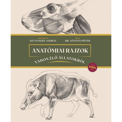 Anat&amp;oacute;miai rajzok vadon &amp;eacute;lő &amp;aacute;llatokr&amp;oacute;l - Eur&amp;oacute;pa - Szunyoghy Andr&amp;aacute;s foto