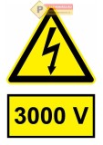 Indicator 3000V