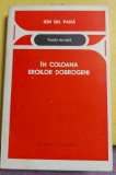 In coloana eroilor dobrogeni - Ion Gh. Pana