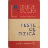 TESTE DE FIZICA-EDUARD-VICTOR GUGUI-234564