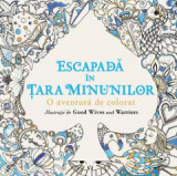 Cumpara ieftin Escapada In Tara Minunilor. O Aventura De Colorat, - Editura Art