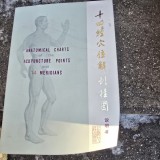 Anatomical charts of the acupuncture points and 14 meridians
