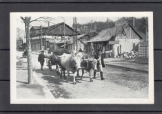 COMARNIC SOSEAUA NATIONALA COLECTIA E. MARVAN BUCURESTI foto