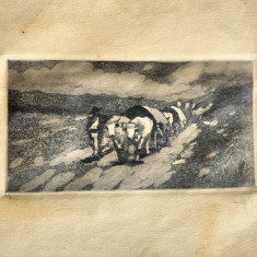Iosif Rosenbluth (1894-1975)-Care cu boi, gravură semnată