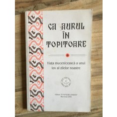 Ca Aurul in Topitoare - Viata Muceniceasca a Unui Iov al Zilelor Noastre