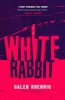 White Rabbit