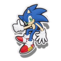 Jibbitz Crocs Sonic The Hedge Hog