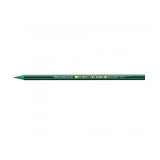 Creion flexibil HB fara radiera Bic Evolution 646