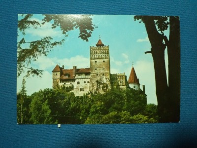 CATELUL BRAN SC XIV foto