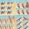 ROMANIA 2021 - FAUNA DESERTULUI, MINICOLI, MNH - LP 2334